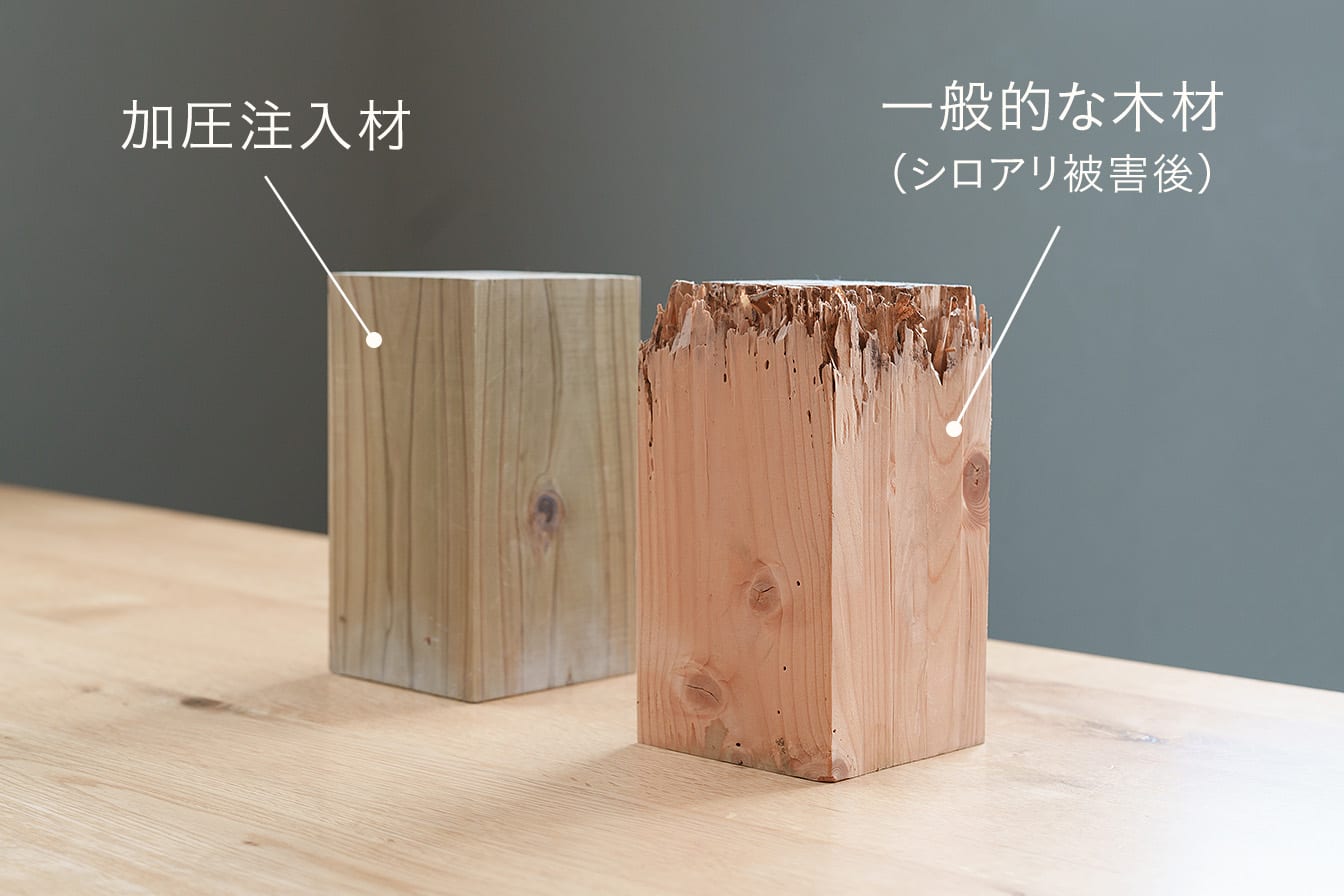加圧注入材と、シロアリ被害を受けた一般的な木材の比較写真。
