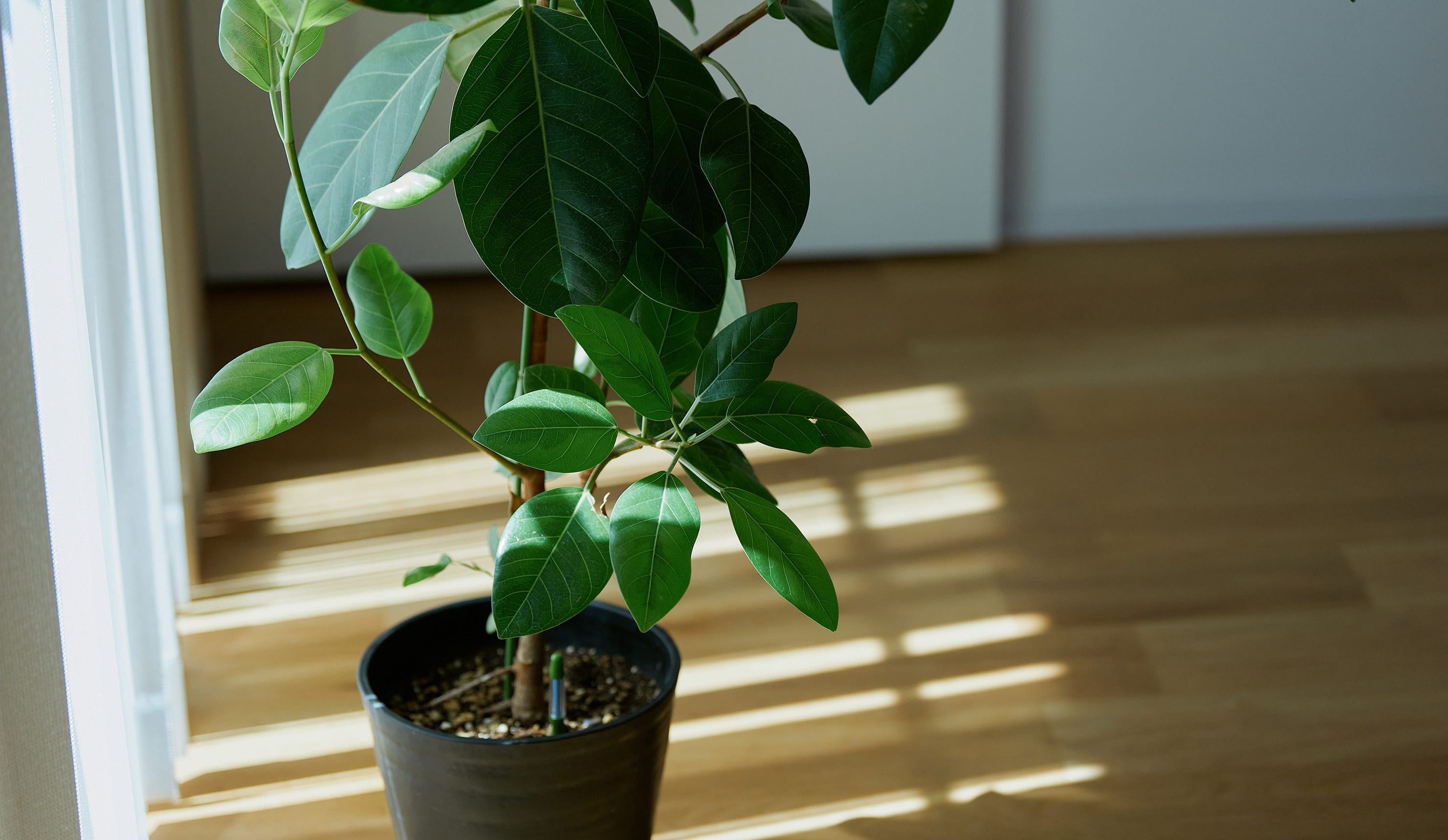 快適な生活のイメージ